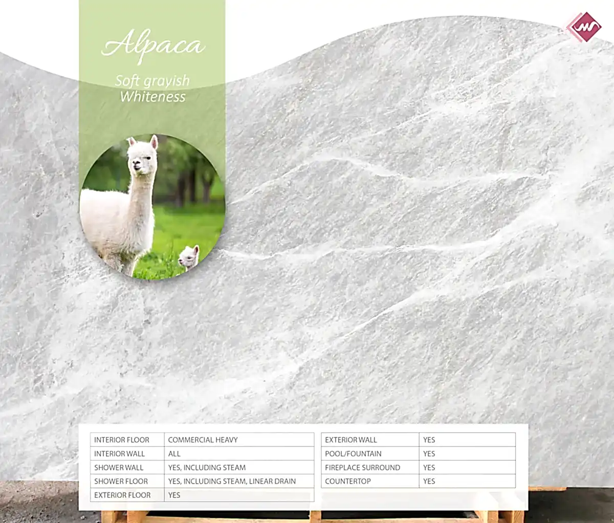 Alpaca
