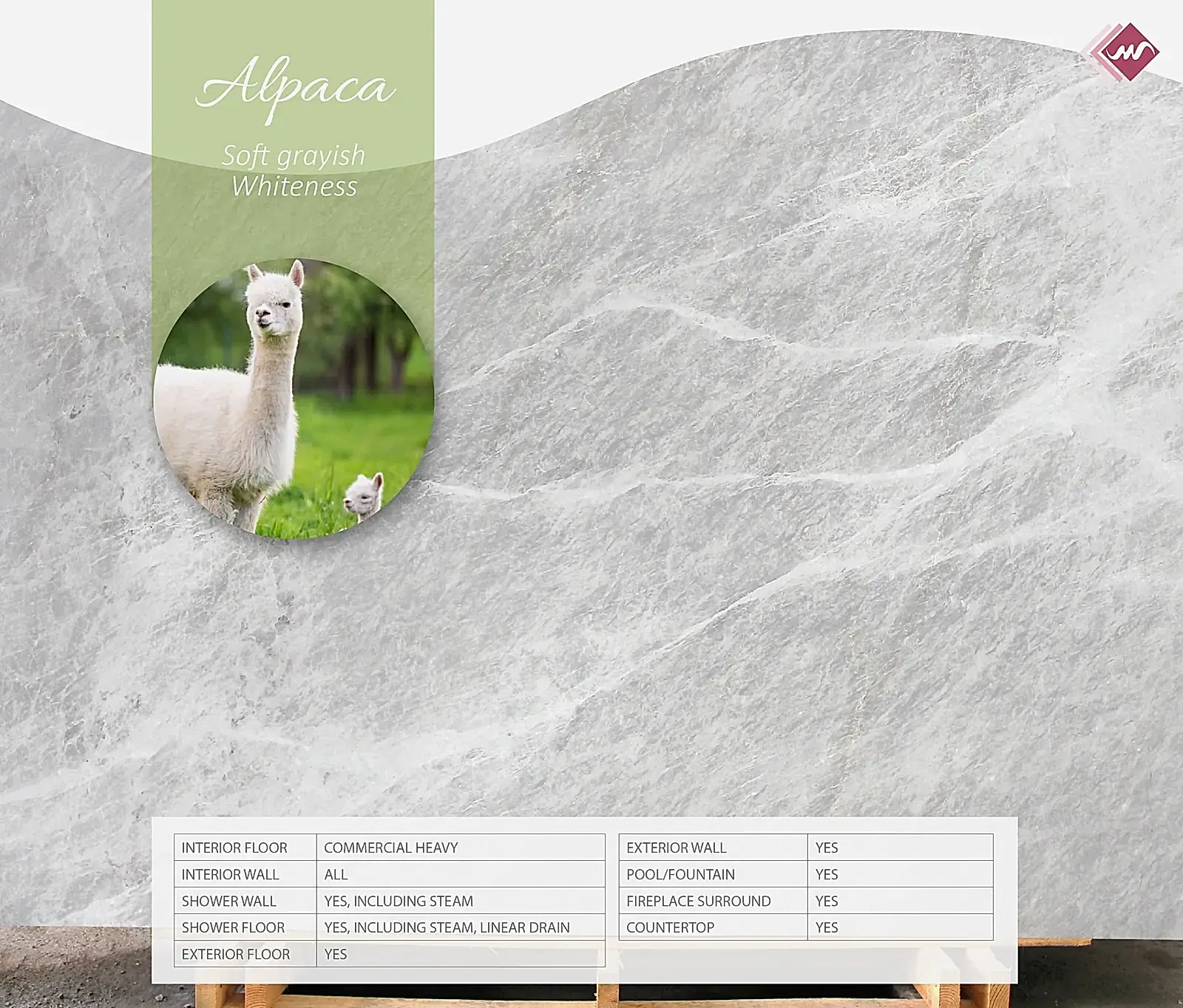 Alpaca
