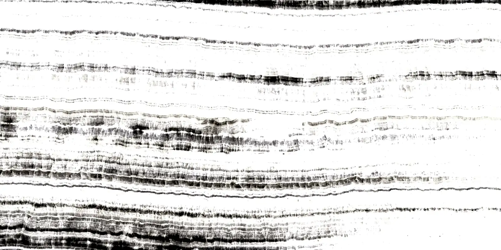 White Trecia